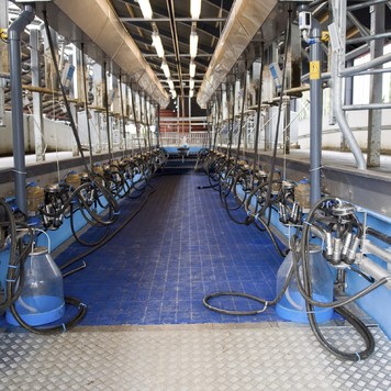 Agricultural – Milking parlour